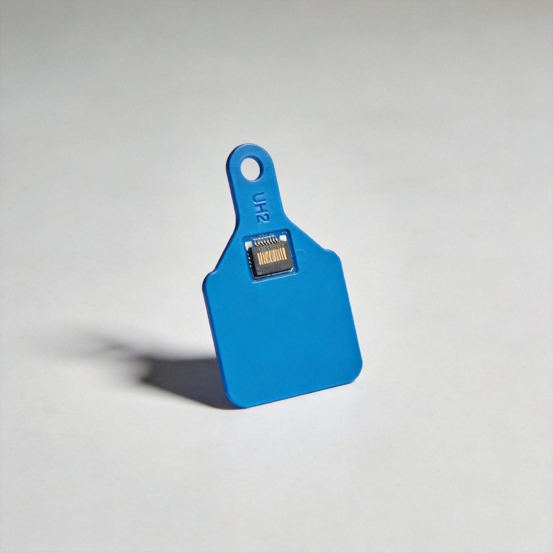 UHF RFID cattle ear tag with chip component visible, blue TPU construction for livestock identification