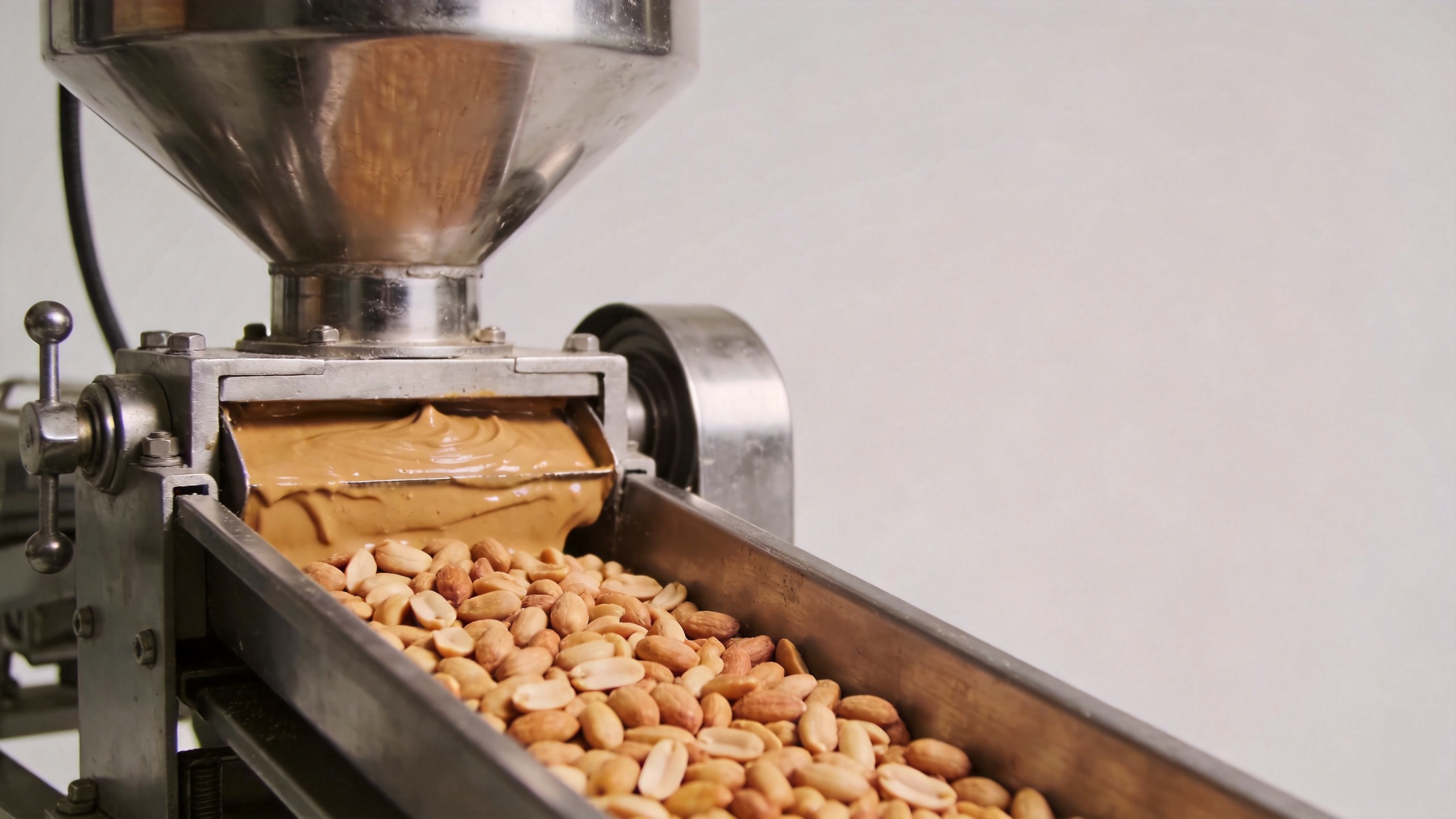 Roasted peanut handling and peanut butter grinding equipment