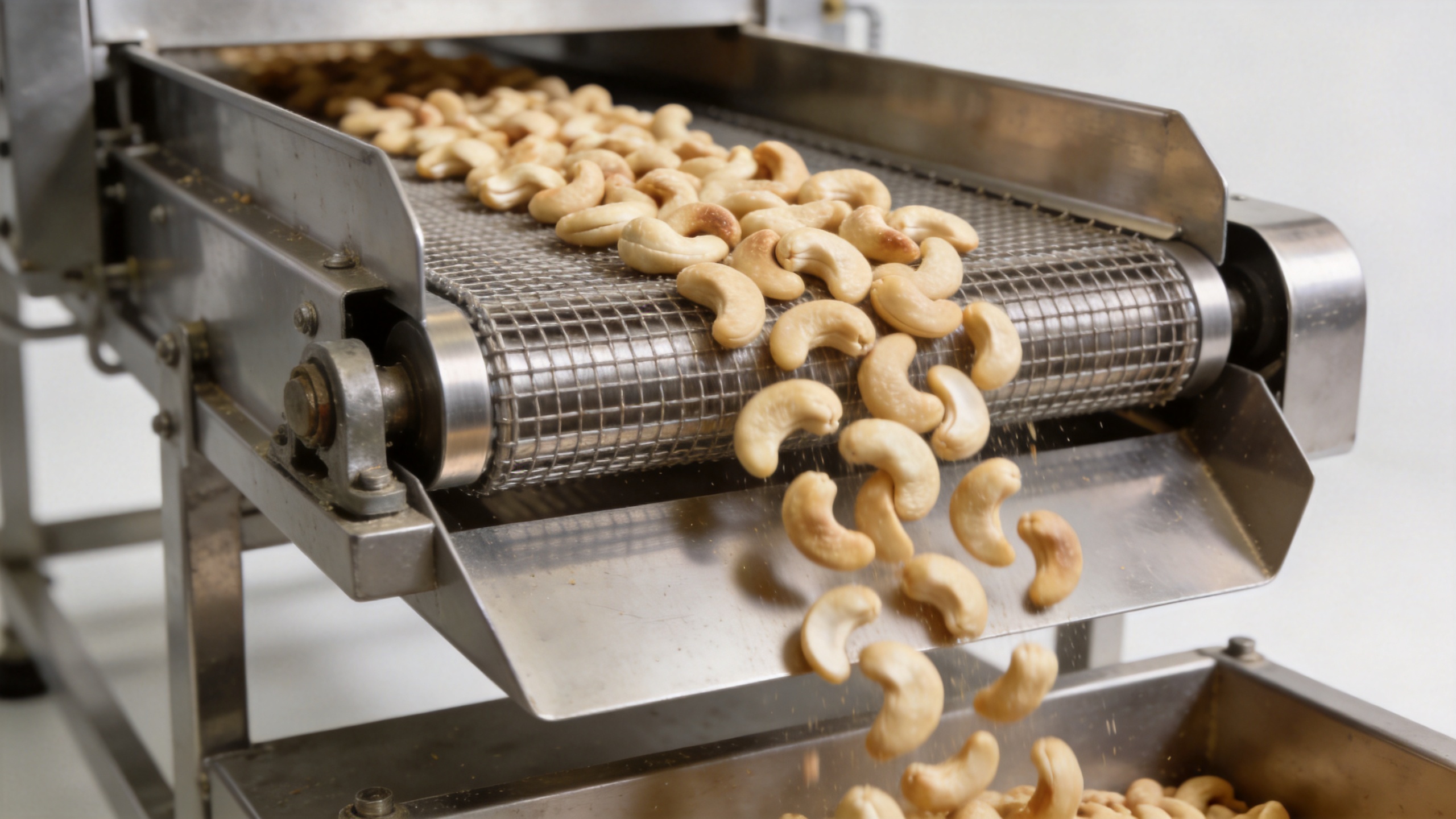 Cashew shelling machine processing calibrated raw nuts